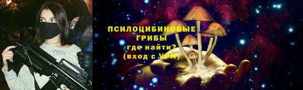 сатива Долгопрудный