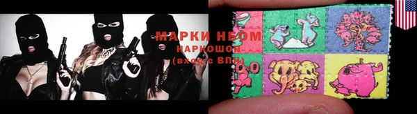сатива Долгопрудный