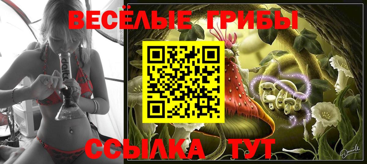 Псилоцибиновые грибы MAGIC MUSHROOMS Хасавюрт